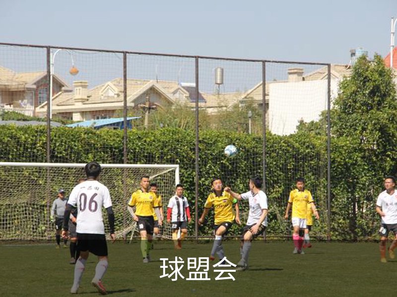 走进球盟会